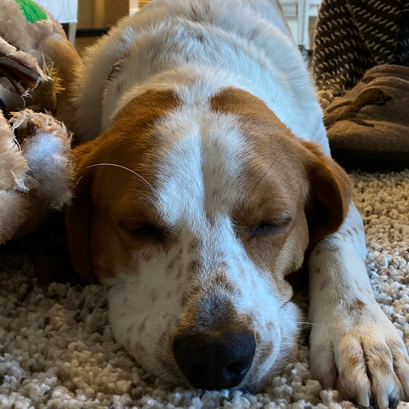 Meet your Posher, Kate - Picture 1 of 1